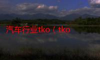 汽车行业tko（tko是什么意思）