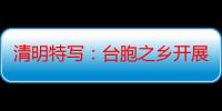 清明特写：台胞之乡开展“代祭扫”“云祭扫”服务