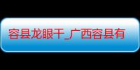 容县龙眼干_广西容县有什么好吃的推荐嘛-美食特产