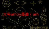 大号amoy是谁（amoy大号开的什么车）