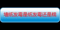 墙纸发霉是纸发霉还是糯米胶发霉还是墙发霉 墙纸发霉是什么原因