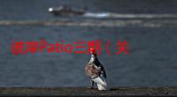 彼岸Patio三期（关于彼岸Patio三期介绍）