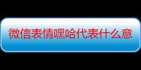 微信表情嘿哈代表什么意思（微信表情嘿哈代表什么）