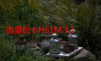 微星板卡H61M-E33（关于微星板卡H61M-E33介绍）