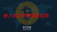 嵌入式DSP原理及应用（关于嵌入式DSP原理及应用介绍）