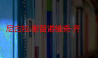 尼古拉·谢苗诺维奇·齐赫泽（关于尼古拉·谢苗诺维奇·齐赫泽介绍）