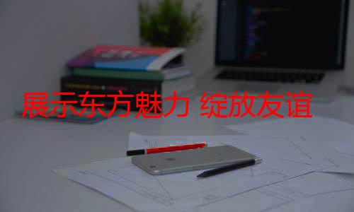 展示东方魅力 绽放友谊之花