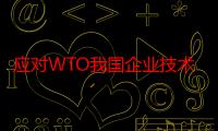 应对WTO我国企业技术创新国际化研究（关于应对WTO我国企业技术创新国际化研究介绍）