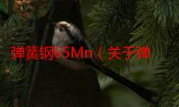 弹簧钢65Mn（关于弹簧钢65Mn介绍）