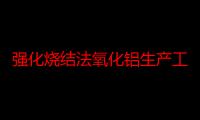 强化烧结法氧化铝生产工艺（关于强化烧结法氧化铝生产工艺介绍）