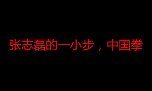 张志磊的一小步，中国拳击市场的一大步