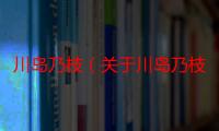 川岛乃枝（关于川岛乃枝介绍）