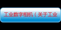 工业数字相机（关于工业数字相机介绍）