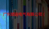 广东顺容电气有限公司（关于广东顺容电气有限公司介绍）