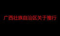 广西壮族自治区关于推行企业兼并的暂行办法（关于广西壮族自治区关于推行企业兼并的暂行办法介绍）