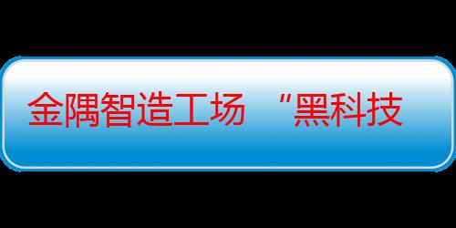 金隅智造工场 “黑科技”产品亮相HICOOL 2024全球创业者峰会