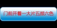 门前开着一大片五颜六色的鲜花是什么句子（门前开着一大片五颜六色的鲜花类似的句子）