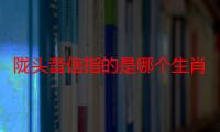 陇头音信指的是哪个生肖，重点解释诠释落实