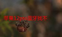 苹果12pro蓝牙找不到设备怎么办（苹果12蓝牙找不到设备怎么办）