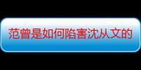 范曾是如何陷害沈从文的？