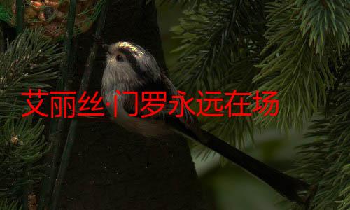 艾丽丝·门罗永远在场 给更多人逃离和写作的勇气