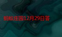 蚂蚁庄园12月29日答案最新：战术布局与对手应对全攻略