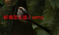 蚌埠怎么读（vertu怎么读）