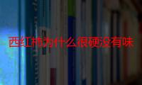 西红柿为什么很硬没有味道 刚摘的西红柿为什么是软的