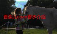 香奈儿coco香水介绍（香奈儿coco香水有几种）