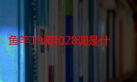 鱼竿19调和28调是什么意思（鱼竿19调和28调是什么意思）