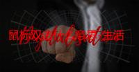 鼠标双击什么意思-生活常识