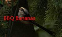 BBQ Bananas