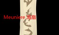 Meuniere 海扇贝