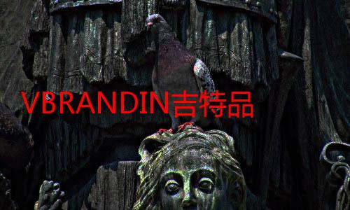 VBRANDIN吉特品牌：提供出海线上线下整合营销一站式服务，赋能企业出海业务