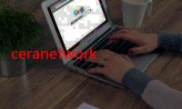 ceranetwork白与黑：消费者认知与接受度