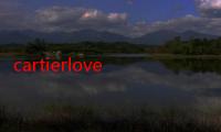 cartierlove（卡地亚love系列钻石戒指成色）