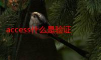 access什么是验证规则和验证文本（access什么意思）