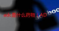 adc是什么药物（ADC是什么）