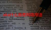 aka什么意思网络用语（aka什么意思网络用语）