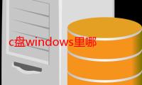 c盘windows里哪些可以删除（c盘windows文件夹中的哪些文件可以删）