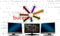 buceros