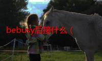 bebusy后接什么（bebusy的用法）