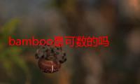 bamboo是可数的吗（bamboo是可数名词吗）