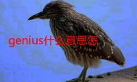 genius什么意思怎么读（genius什么意思）