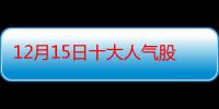 12月15日十大人气股：跨境电商板块尾盘活跃