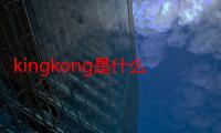 kingkong是什么意思（kingkong什么意思）