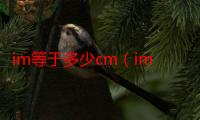 im等于多少cm（imden）