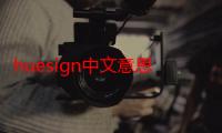 huesign中文意思（sign中文意思）