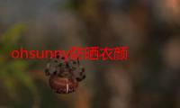 ohsunny防晒衣颜色怎么选