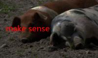 make sense of feelings（make sense的用法）